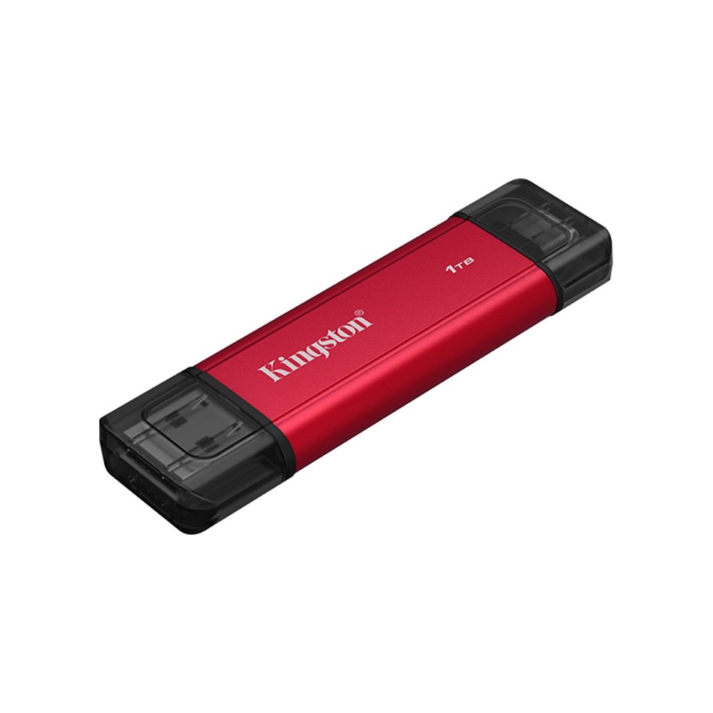 Kingston XS2000 Dual USB 1TB