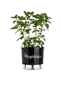 Vaso Autoirrigável Manjericão Alt: 14cm X Larg: 16cm Preto.