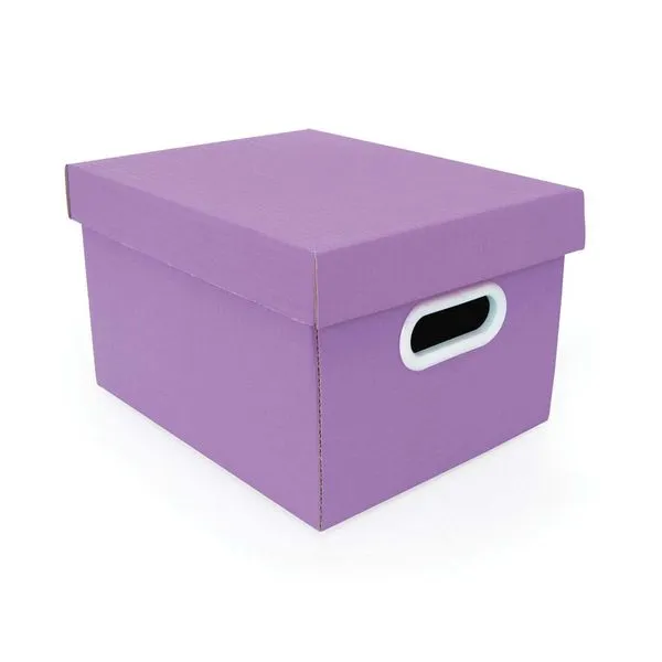 Caixa organizadora mini closet 28x23x18cm roxa Boxgraphia