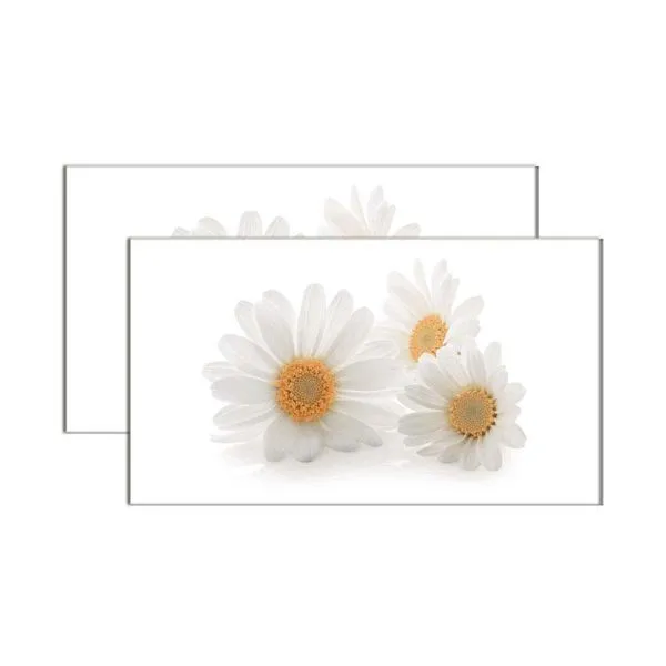 Faixa Margarida HD 31x55cm Porto Ferreira