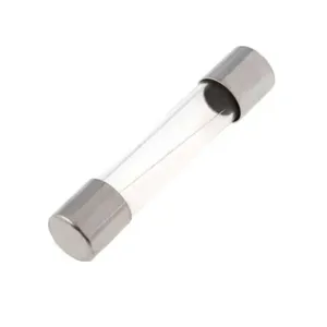 Fusível de Vidro 10A Pequeno 5x20mm com 10 Unidades Asantos
