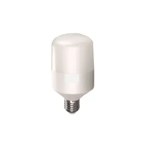 Lâmpada LED bulbo E27 multivolt 20W 6500K 2000lm OL