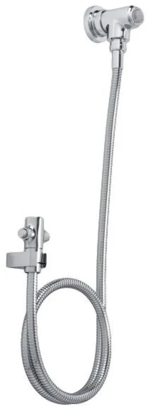 Ducha Higiênica com Derivação Deca Cromado