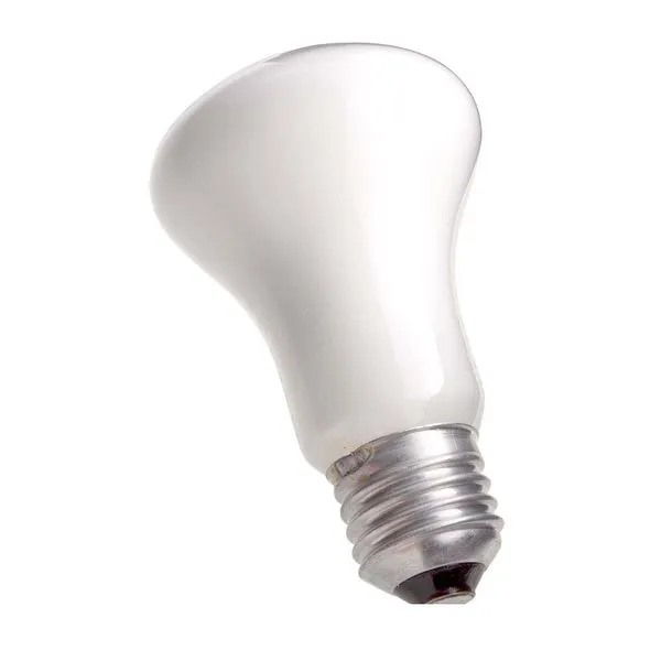 Lâmpada incandescente 127V 100W Soft leitosa Philips