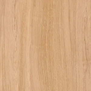 Piso Caiena Hd Brilhante 57X57Cm Cx 2,59 M² CECAFI
