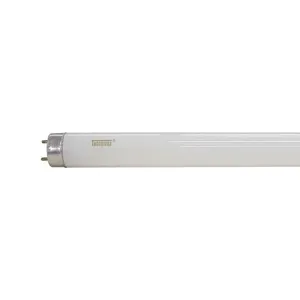 Lâmpada Fluor Tubo Convencional/Elétrica 18W T8 6400K Taschibra