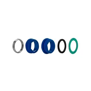 Adaptador Para Filtro Lorenzetti Versatille 310123 Blukit