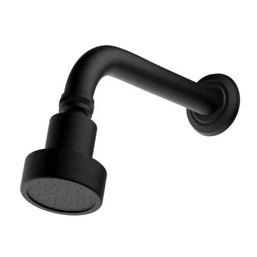Chuveiro Articulado Rubi de Parede Black Matte Fani