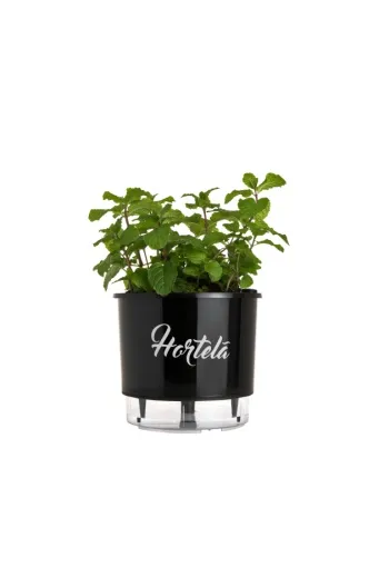 Vaso Autoirrigável Hortelã Alt: 14cm X Larg: 16cm Preto.