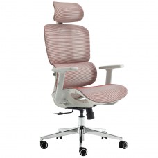 Cadeira Dr. Office Business Mesh 2D Rosa 120kg | Terabyte