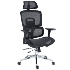Cadeira de Escritório Dr. Office Business Pro Mesh | Terabyte