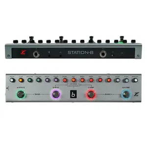 Pedal P/contrabaixo Reverb E Delay Station-b Da Ziron Efx
