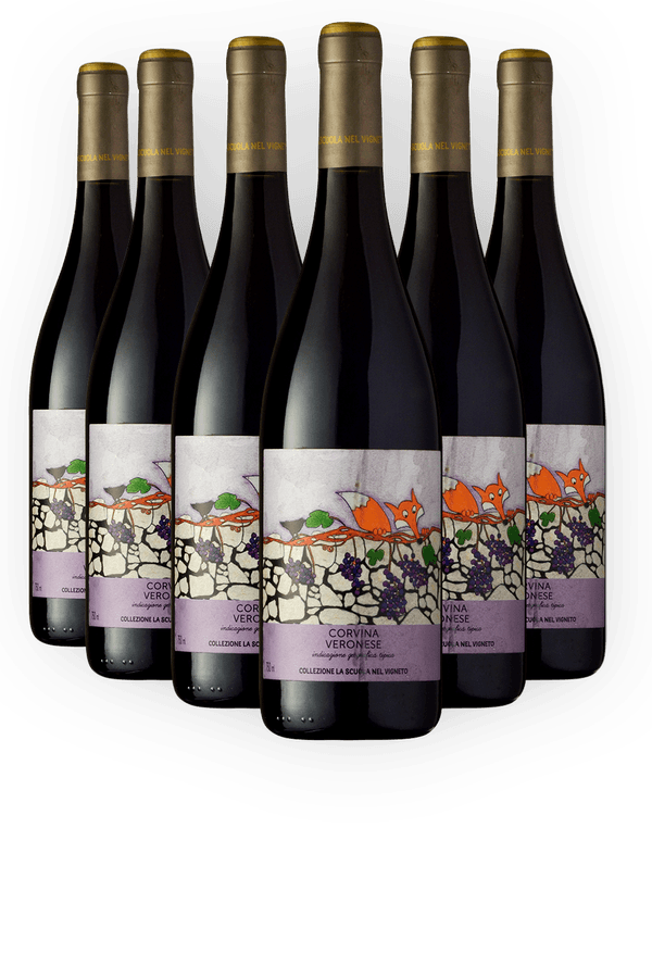 Kit 6 Collezione La Scuola Nel Vigneto Corvina Verona Igt