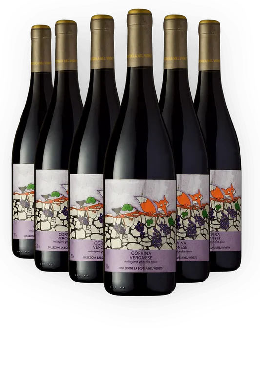 Kit 6 Collezione La Scuola Nel Vigneto Corvina Verona Igt