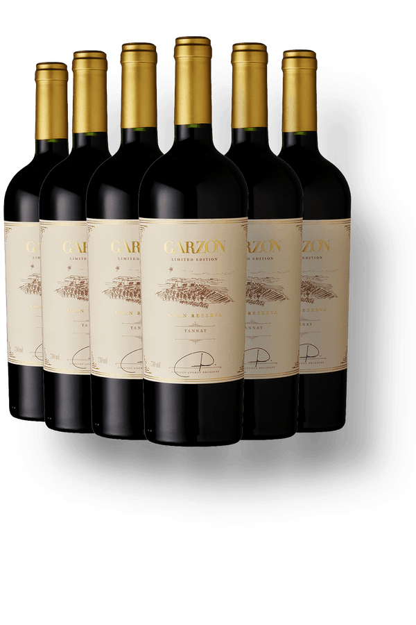 Kit 6 Garzón Gran Reserva Tannat