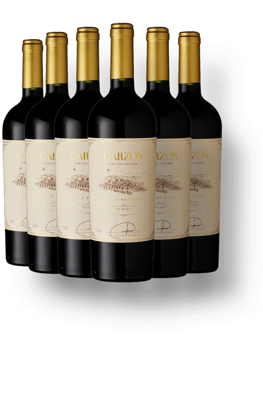 Kit 6 Garzón Gran Reserva Tannat